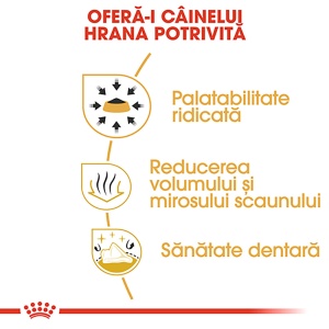 Royal Canin Chihuahua Adult, hrana uscata caine, 1.5KG - Img 5