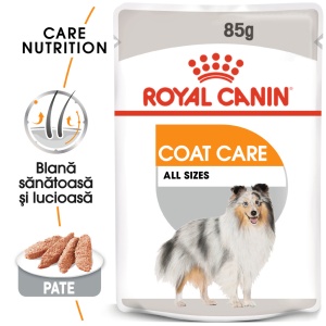 Royal Canin Coat Care Adult, hrana umeda caine, blana sanatoasa si lucioasa (pate), 12 x 85G - Img 6
