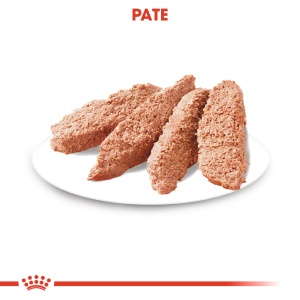 Royal Canin Digestive Care Adult, hrana umeda caine, confort digestiv (pate), 12 x 85G - Img 4