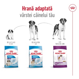 Royal Canin Giant Adult, hrana uscata caine, 15KG - Img 8