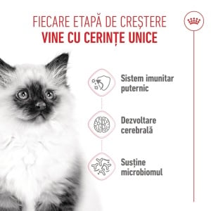 Royal Canin Kitten, hrana uscata pisica junior, 2KG - Img 4