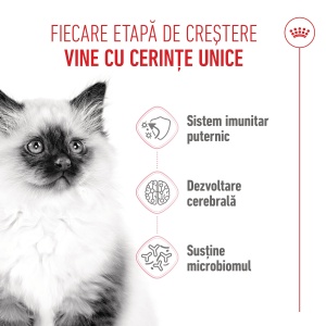 Royal Canin Kitten, hrana uscata pisica junior, 400G - Img 4