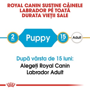 Royal Canin Labrador Puppy, hrana uscata caine junior, 12KG - Img 6
