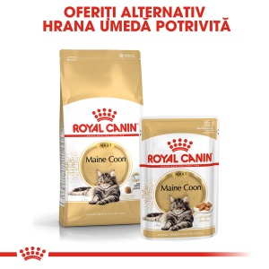 Royal Canin Maine Coon Adult, hrana umeda pisica (in sos), 12 x 85G - Img 6