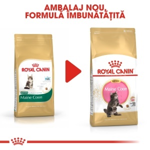 Royal Canin Maine Coon Kitten, hrana uscata pisica junior, 2KG - Img 5