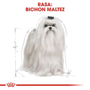 Royal Canin Maltese Adult, hrana uscata caine, 1.5KG - Img 3