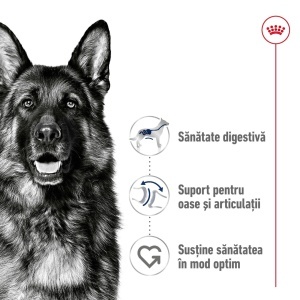 Royal Canin Maxi Adult, hrana uscata caine, 12KG - Img 4