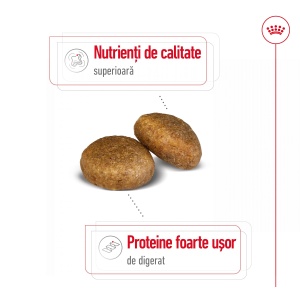 Royal Canin Maxi Adult, hrana uscata caine, 3KG - Img 5