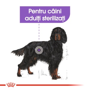 Royal Canin Maxi Sterilised Adult, hrana uscata caine sterilizat, 12KG - Img 6