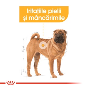 Royal Canin Medium Dermacomfort, hrana uscata caine, prevenirea iritatiilor pielii, 3KG - Img 3