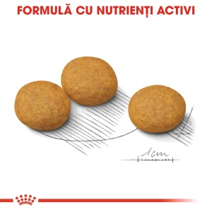 Royal Canin Medium Dermacomfort, hrana uscata caine, prevenirea iritatiilor pielii, 12KG - Img 4