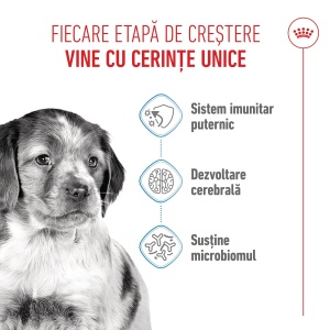 Royal Canin Medium Puppy, hrana uscata caine junior, 3KG - Img 2