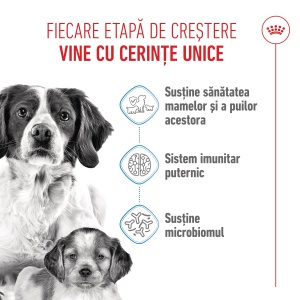 Royal Canin Medium Starter Mother & BabyDog, mama si puiul, hrana uscata caini, 4KG - Img 9