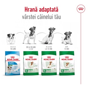 Royal Canin Mini Adult, hrana uscata caine, 8KG - Img 7