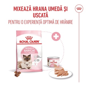 Royal Canin Mother & BabyCat, hrana uscata pisica, mama si puiul, 2KG - Img 7
