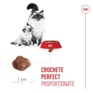Royal Canin Mother & BabyCat, hrana uscata pisica, mama si puiul, 400G - Img 8