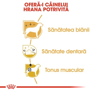 Royal Canin Poodle Adult, hrana uscata caine, 1.5KG - Img 6