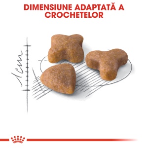 Royal Canin Sensible Adult, hrana uscata pisica, digestie optima, 4KG - Img 4