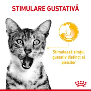 Royal Canin Sensory, hrana umeda pisici, stimularea simturilor (in sos), 12 x 85G - Img 4