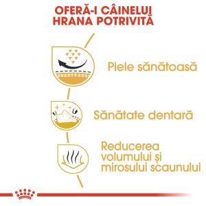 Royal Canin Shih Tzu, Adult hrana uscata caine, 3KG - Img 5