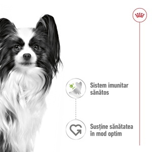 Royal Canin X-Small Adult, hrana umeda caine (in sos), 12 x 85G - Img 7