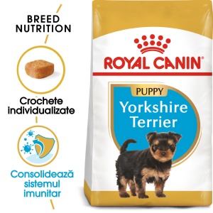 Royal Canin Yorkshire Puppy, hrana uscata caine junior, 500G