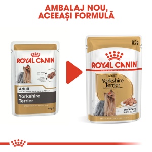 Royal Canin Yorkshire Terrier Adult, hrana umeda caine (pate), 12 x 85 g - Img 7