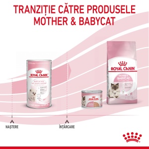 Royal Canin BabyCat Milk ,inlocuitor lapte matern pisica, 300G - Img 2