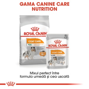 Royal Canin Coat Care Adult, hrana umeda caine, blana sanatoasa si lucioasa (pate), 12 x 85G - Img 3