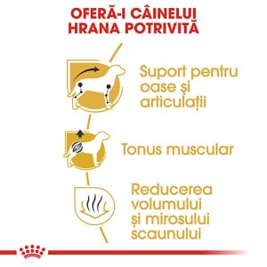 Royal Canin Dachshund Adult, hrana uscata caine Teckel, 1.5KG - Img 4