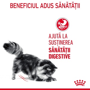 Royal Canin Digest Sensitive Care Adult, hrana umeda pisica, confort digestiv (in sos), 12 x 85G - Img 3
