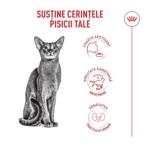 Royal Canin Fussy Adult, hrana uscata pisica, apetit capricios, 400G - Img 4