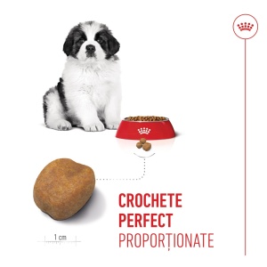 Royal Canin Giant Puppy, hrana uscata caine junior etapa 1 de crestere, 3.5KG - Img 7