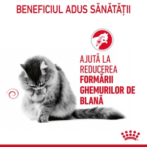 Royal Canin Hairball Care Adult, hrana umeda pisica, limitarea ghemurilor de blana (in sos), 12 X 85G - Img 3