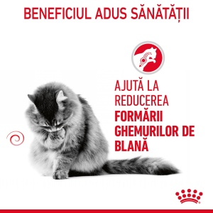 Royal Canin Hairball Care Adult, hrana uscata pisica, limitarea ghemurilor de blana, 2KG - Img 3