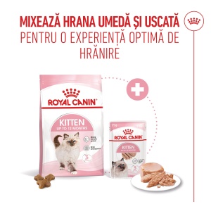 Royal Canin Kitten, hrana umeda pisica junior (pate), 12 x 85G - Img 7