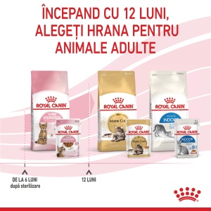 Royal Canin Kitten Sterilised, hrana umeda pisica sterilizata junior (in sos), 12 x 85G - Img 5