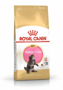 Royal Canin Maine Coon Kitten, hrana uscata pisica junior, 2KG - Img 2