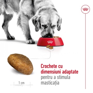 Royal Canin Maxi Adult, hrana uscata caine, 15KG - Img 10