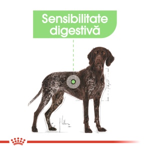 Royal Canin Maxi Digestive Care hrana, uscata caine, confort digestiv, 12KG - Img 3