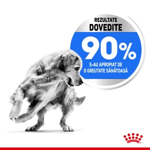 Royal Canin Maxi Light Weight Care Adult, hrana uscata caine, limitarea cresterii in greutate, 12KG - Img 6