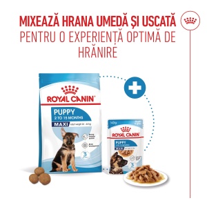 Royal Canin Maxi Puppy, hrana umeda caine junior (in sos), 10 x 140G - Img 5