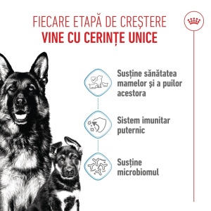 Royal Canin Maxi Starter Mother & BabyDog, mama si puiul, hrana uscata caini, 15KG - Img 9