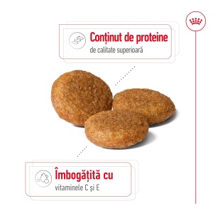 Royal Canin Medium Adult, hrana uscata caine, 12KG - Img 4