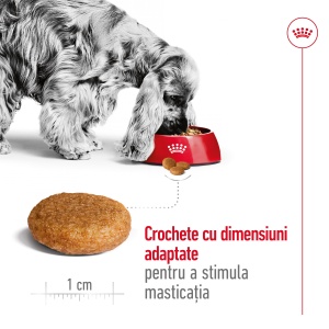 Royal Canin Medium Adult, hrana uscata caine, 15KG - Img 8