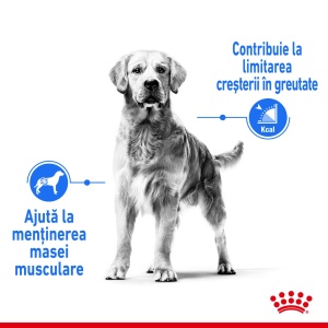 Royal Canin Medium Light Weight Care, Adult hrana uscata caine, limitarea cresterii in greutate, 12KG - Img 3