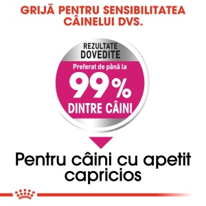 Royal Canin Mini Exigent, hrana uscata caine, apetit capricios, 1KG - Img 5