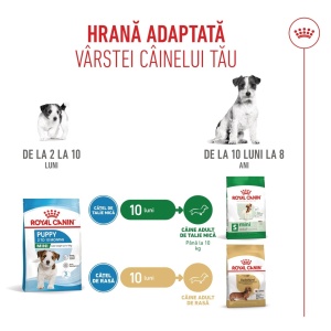 Royal Canin Mini Puppy, hrana uscata caine junior, 4KG - Img 5