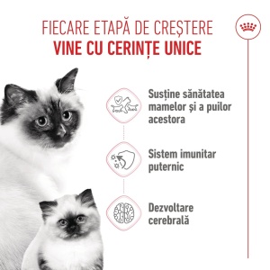 Royal Canin Mother & BabyCat, hrana uscata pisica, mama si puiul, 4KG - Img 3