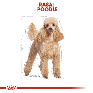 Royal Canin Poodle Adult, hrana uscata caine, 1.5KG - Img 3